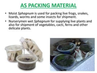 AS PACKING MATERIAL
• Moist Sphagnum is used for packing live frogs, snakes,
lizards, worms and some insects for shipment.
• Nurserymen wet Sphagnum for supplying live plants and
also for shipment of vegetables, cacti, ferns and other
delicate plants.
 