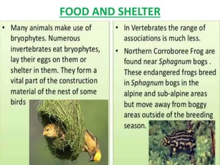 FOOD AND SHELTER
 