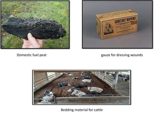 Domestic fuel peat gauze for dressing wounds
Bedding material for cattle
 