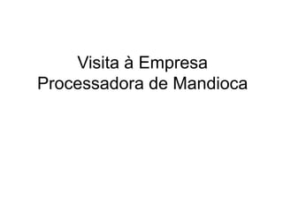 Visita à Empresa
Processadora de Mandioca
 