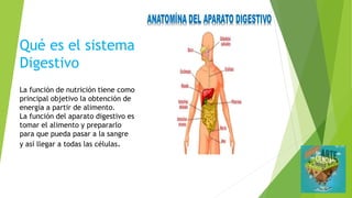 Qué es el sistema
Digestivo
La función de nutrición tiene como
principal objetivo la obtención de
energía a partir de alimento.
La función del aparato digestivo es
tomar el alimento y prepararlo
para que pueda pasar a la sangre
y así llegar a todas las células.
 