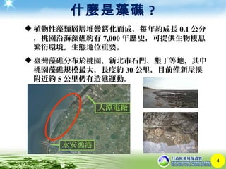 什麼是藻礁 ?
4
永安漁港
大潭電廠
 植物性藻類層層堆疊 化而成， 年約成長鈣 每 0.1 公分
，桃園沿海藻礁約有 7,000 年 史，可提供生物棲息歷
繁衍環境，生態地位重要。
 臺灣藻礁分布於桃園、新北市石門、墾丁等地，其中
桃園藻礁規模最大，長度約 30 公里，目前僅新屋溪
附近約 5 公里仍有造礁運動。
 