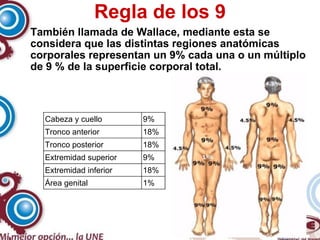 Regla de los 9 También llamada de Wallace, mediante esta se considera que las distintas regiones anatómicas corporales representan un 9% cada una o un múltiplo de 9 % de la superficie corporal total. 1% Área genital 18% Extremidad inferior 9% Extremidad superior 18% Tronco posterior 18% Tronco anterior 9% Cabeza y cuello 