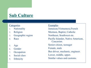 Sub Culture

Categories              Examples
1.  Nationality         Jamaican,Vietnamese,French
2.  Religion            Mormon, Baptist, Catholic
3.  Geographic region   Northeast, Southwest etc.
4.  Race                Pacific Islander, Native American,
                           Caucasian.
5.   Age                Senior citizen, teenager
6.   Gender             Female, male
7.   Occupation         Bus driver, mechanic, engineer.
8.   Social class       Lower, middle, upper.
9.   Ethnicity          Similar values and customs.
 