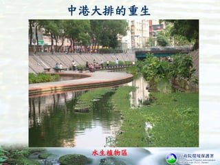 中港大排的重生
32
水生植物區
 
