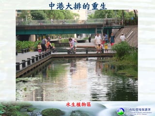 中港大排的重生
33
水生植物區
 