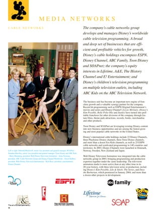 walt disney Annual Report 2003