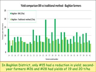 In Baghlan District, only #15 had a reduction in yield; second-year farmers #26 and #28 had yields of 19 and 20 t/ha 