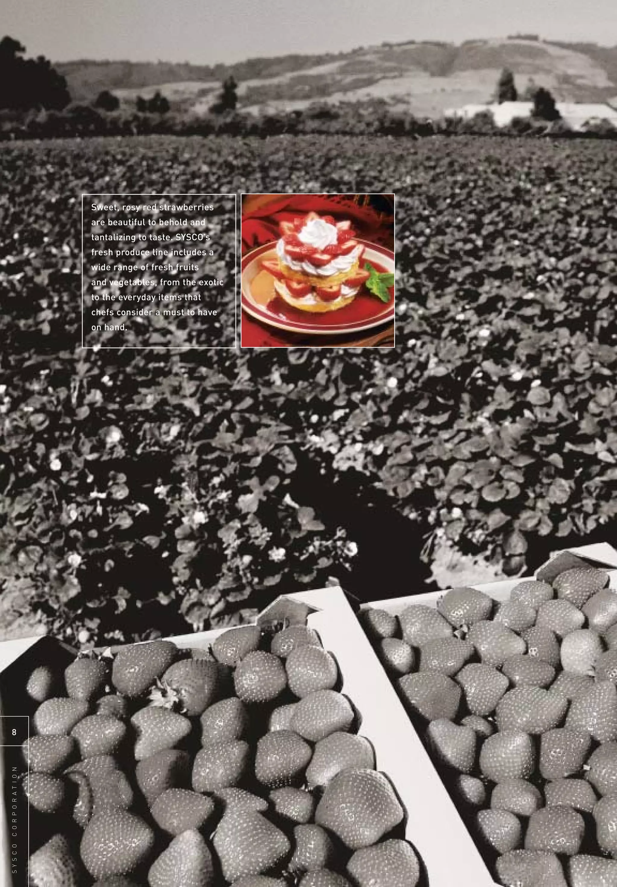 sysco Annual Reports2003