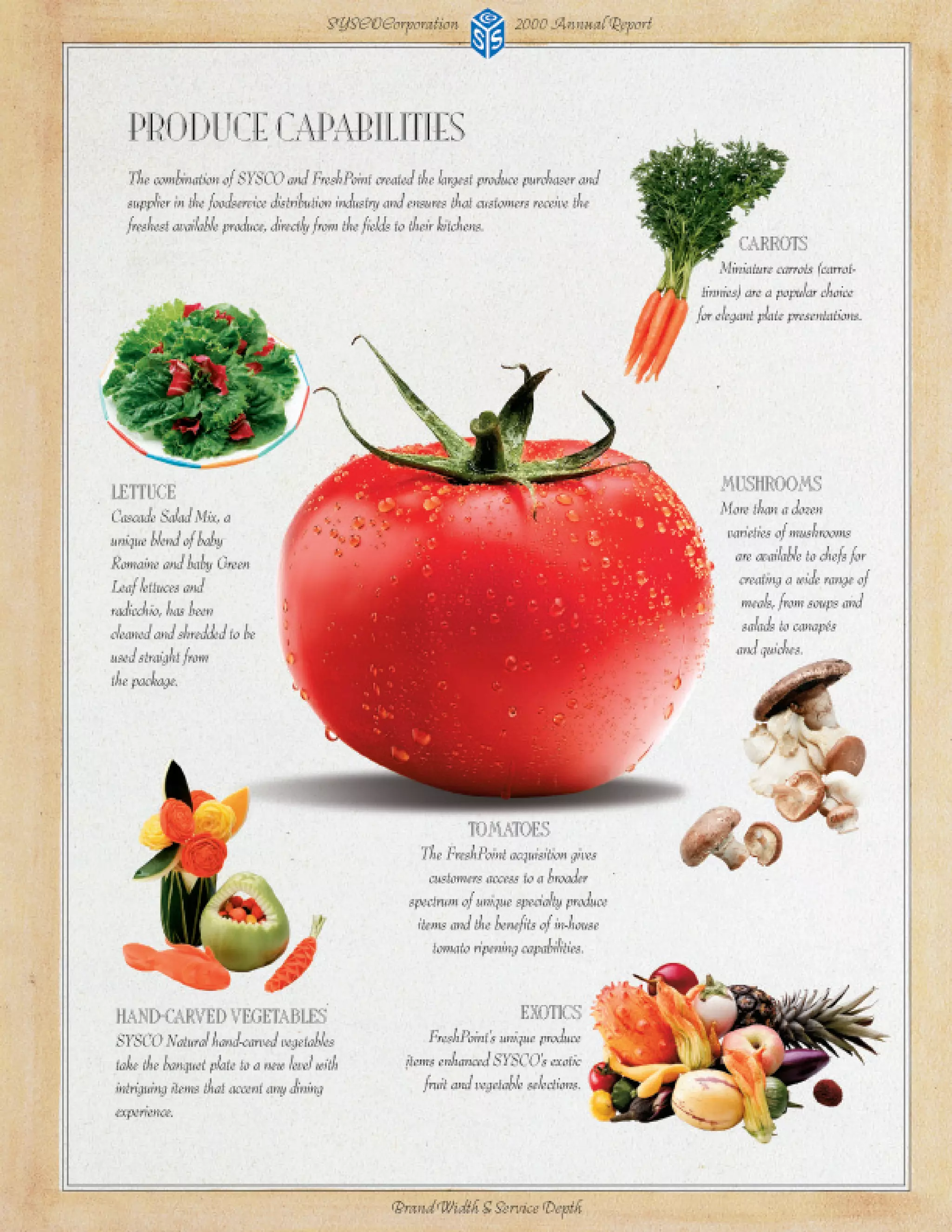 sysco Annual Reports2002