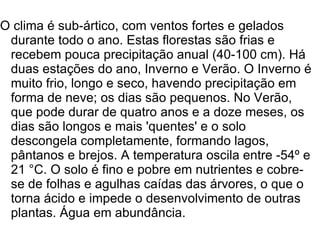 O clima é sub-ártico, com ventos fortes e gelados
 durante todo o ano. Estas florestas são frias e
 recebem pouca precipitação anual (40-100 cm). Há
 duas estações do ano, Inverno e Verão. O Inverno é
 muito frio, longo e seco, havendo precipitação em
 forma de neve; os dias são pequenos. No Verão,
 que pode durar de quatro anos e a doze meses, os
 dias são longos e mais 'quentes' e o solo
 descongela completamente, formando lagos,
 pântanos e brejos. A temperatura oscila entre -54º e
 21 °C. O solo é fino e pobre em nutrientes e cobre-
 se de folhas e agulhas caídas das árvores, o que o
 torna ácido e impede o desenvolvimento de outras
 plantas. Água em abundância.
 