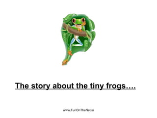 www.FunOnTheNet.in The story about the tiny frogs….   