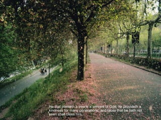 He that planteth a tree is a servant of God, he provideth a kindness for many generations, and faces that he hath not seen shall bless him.  