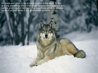 To desire and strive to be of some service to the world, to aim  at doing something which shall really increase the happiness and welfare and virtue of mankind - this is a choice which is possible  for all of us; and surely it is a good haven to sail for. 