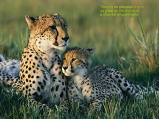 There is no personal charm  so great as the charm of  a cheerful temperament.  