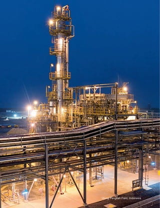 hess Annual Reports 2007