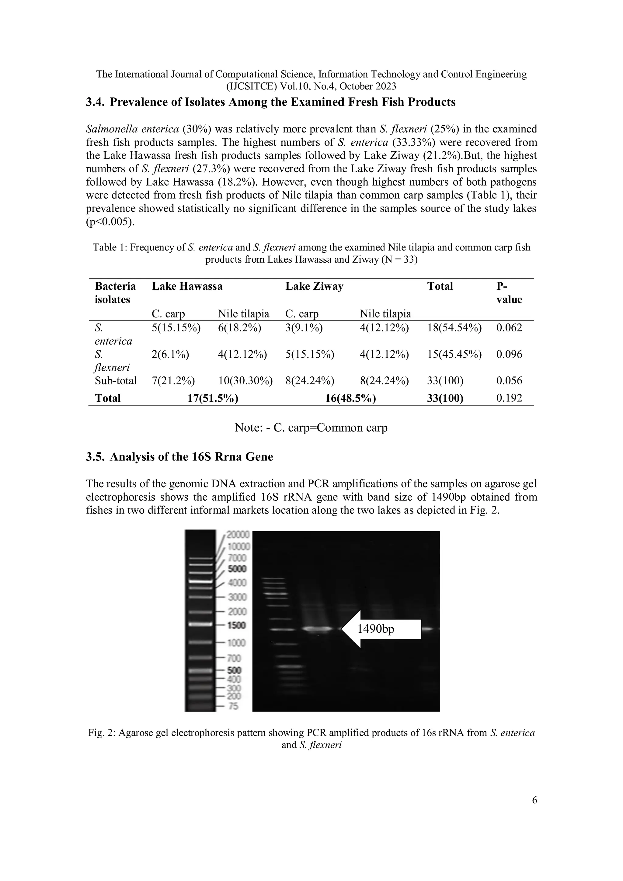 The International Journal of Computational Science, Information Technology and Control Engineering
(IJCSITCE) Vol.10, No.4, October 2023
6
3.4. Prevalence of Isolates Among the Examined Fresh Fish Products
Salmonella enterica (30%) was relatively more prevalent than S. flexneri (25%) in the examined
fresh fish products samples. The highest numbers of S. enterica (33.33%) were recovered from
the Lake Hawassa fresh fish products samples followed by Lake Ziway (21.2%).But, the highest
numbers of S. flexneri (27.3%) were recovered from the Lake Ziway fresh fish products samples
followed by Lake Hawassa (18.2%). However, even though highest numbers of both pathogens
were detected from fresh fish products of Nile tilapia than common carp samples (Table 1), their
prevalence showed statistically no significant difference in the samples source of the study lakes
(p<0.005).
Table 1: Frequency of S. enterica and S. flexneri among the examined Nile tilapia and common carp fish
products from Lakes Hawassa and Ziway (N = 33)
Bacteria
isolates
Lake Hawassa Lake Ziway Total P-
value
C. carp Nile tilapia C. carp Nile tilapia
S.
enterica
5(15.15%) 6(18.2%) 3(9.1%) 4(12.12%) 18(54.54%) 0.062
S.
flexneri
2(6.1%) 4(12.12%) 5(15.15%) 4(12.12%) 15(45.45%) 0.096
Sub-total 7(21.2%) 10(30.30%) 8(24.24%) 8(24.24%) 33(100) 0.056
Total 17(51.5%) 16(48.5%) 33(100) 0.192
Note: - C. carp=Common carp
3.5. Analysis of the 16S Rrna Gene
The results of the genomic DNA extraction and PCR amplifications of the samples on agarose gel
electrophoresis shows the amplified 16S rRNA gene with band size of 1490bp obtained from
fishes in two different informal markets location along the two lakes as depicted in Fig. 2.
Fig. 2: Agarose gel electrophoresis pattern showing PCR amplified products of 16s rRNA from S. enterica
and S. flexneri
1490bp
 
