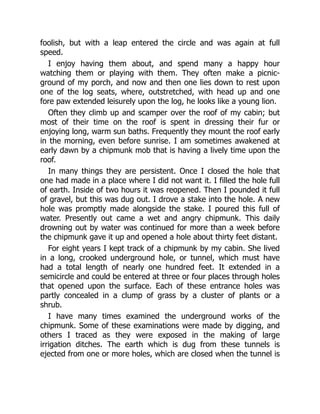 foolish, but with a leap entered the circle and was again at full
speed.
I enjoy having them about, and spend many a happy hour
watching them or playing with them. They often make a picnic-
ground of my porch, and now and then one lies down to rest upon
one of the log seats, where, outstretched, with head up and one
fore paw extended leisurely upon the log, he looks like a young lion.
Often they climb up and scamper over the roof of my cabin; but
most of their time on the roof is spent in dressing their fur or
enjoying long, warm sun baths. Frequently they mount the roof early
in the morning, even before sunrise. I am sometimes awakened at
early dawn by a chipmunk mob that is having a lively time upon the
roof.
In many things they are persistent. Once I closed the hole that
one had made in a place where I did not want it. I filled the hole full
of earth. Inside of two hours it was reopened. Then I pounded it full
of gravel, but this was dug out. I drove a stake into the hole. A new
hole was promptly made alongside the stake. I poured this full of
water. Presently out came a wet and angry chipmunk. This daily
drowning out by water was continued for more than a week before
the chipmunk gave it up and opened a hole about thirty feet distant.
For eight years I kept track of a chipmunk by my cabin. She lived
in a long, crooked underground hole, or tunnel, which must have
had a total length of nearly one hundred feet. It extended in a
semicircle and could be entered at three or four places through holes
that opened upon the surface. Each of these entrance holes was
partly concealed in a clump of grass by a cluster of plants or a
shrub.
I have many times examined the underground works of the
chipmunk. Some of these examinations were made by digging, and
others I traced as they were exposed in the making of large
irrigation ditches. The earth which is dug from these tunnels is
ejected from one or more holes, which are closed when the tunnel is
 