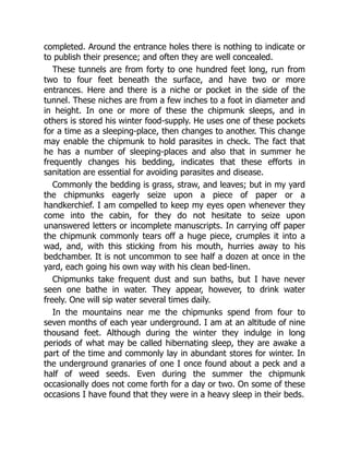 completed. Around the entrance holes there is nothing to indicate or
to publish their presence; and often they are well concealed.
These tunnels are from forty to one hundred feet long, run from
two to four feet beneath the surface, and have two or more
entrances. Here and there is a niche or pocket in the side of the
tunnel. These niches are from a few inches to a foot in diameter and
in height. In one or more of these the chipmunk sleeps, and in
others is stored his winter food-supply. He uses one of these pockets
for a time as a sleeping-place, then changes to another. This change
may enable the chipmunk to hold parasites in check. The fact that
he has a number of sleeping-places and also that in summer he
frequently changes his bedding, indicates that these efforts in
sanitation are essential for avoiding parasites and disease.
Commonly the bedding is grass, straw, and leaves; but in my yard
the chipmunks eagerly seize upon a piece of paper or a
handkerchief. I am compelled to keep my eyes open whenever they
come into the cabin, for they do not hesitate to seize upon
unanswered letters or incomplete manuscripts. In carrying off paper
the chipmunk commonly tears off a huge piece, crumples it into a
wad, and, with this sticking from his mouth, hurries away to his
bedchamber. It is not uncommon to see half a dozen at once in the
yard, each going his own way with his clean bed-linen.
Chipmunks take frequent dust and sun baths, but I have never
seen one bathe in water. They appear, however, to drink water
freely. One will sip water several times daily.
In the mountains near me the chipmunks spend from four to
seven months of each year underground. I am at an altitude of nine
thousand feet. Although during the winter they indulge in long
periods of what may be called hibernating sleep, they are awake a
part of the time and commonly lay in abundant stores for winter. In
the underground granaries of one I once found about a peck and a
half of weed seeds. Even during the summer the chipmunk
occasionally does not come forth for a day or two. On some of these
occasions I have found that they were in a heavy sleep in their beds.
 