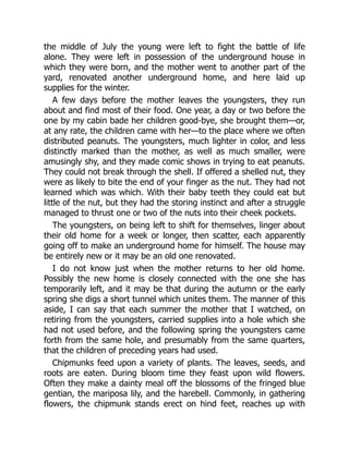 the middle of July the young were left to fight the battle of life
alone. They were left in possession of the underground house in
which they were born, and the mother went to another part of the
yard, renovated another underground home, and here laid up
supplies for the winter.
A few days before the mother leaves the youngsters, they run
about and find most of their food. One year, a day or two before the
one by my cabin bade her children good-bye, she brought them—or,
at any rate, the children came with her—to the place where we often
distributed peanuts. The youngsters, much lighter in color, and less
distinctly marked than the mother, as well as much smaller, were
amusingly shy, and they made comic shows in trying to eat peanuts.
They could not break through the shell. If offered a shelled nut, they
were as likely to bite the end of your finger as the nut. They had not
learned which was which. With their baby teeth they could eat but
little of the nut, but they had the storing instinct and after a struggle
managed to thrust one or two of the nuts into their cheek pockets.
The youngsters, on being left to shift for themselves, linger about
their old home for a week or longer, then scatter, each apparently
going off to make an underground home for himself. The house may
be entirely new or it may be an old one renovated.
I do not know just when the mother returns to her old home.
Possibly the new home is closely connected with the one she has
temporarily left, and it may be that during the autumn or the early
spring she digs a short tunnel which unites them. The manner of this
aside, I can say that each summer the mother that I watched, on
retiring from the youngsters, carried supplies into a hole which she
had not used before, and the following spring the youngsters came
forth from the same hole, and presumably from the same quarters,
that the children of preceding years had used.
Chipmunks feed upon a variety of plants. The leaves, seeds, and
roots are eaten. During bloom time they feast upon wild flowers.
Often they make a dainty meal off the blossoms of the fringed blue
gentian, the mariposa lily, and the harebell. Commonly, in gathering
flowers, the chipmunk stands erect on hind feet, reaches up with
 