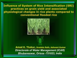 Amod K. Thakur, Sreelata Rath, Ashwani Kumar
Influence of System of Rice Intensification (SRI)
practices on grain yield and associated
physiological changes in rice plants compared to
conventional flooded rice
Directorate of Water Management (ICAR)
Bhubaneswar, Orissa -751023, India
 
