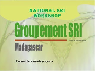 1045 Groupment SRI-Proposal for a Workshop Agenda