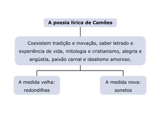 Capítulo 11 – O Classicismo
Mapa 2
Coexistem tradição e inovação, saber letrado e
experiência de vida, mitologia e cristianismo, alegria e
angústia, paixão carnal e idealismo amoroso.
A poesia lírica de Camões
A medida velha:
redondilhas
A medida nova:
sonetos
 