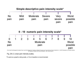 Fig. 29–2. Linear pain intensity scales.
*If used as a graphic rating scale, a 10-cm baseline is recommended.
 