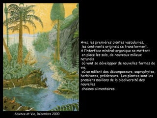 Avec les premières plantes vasculaires, les continents originels se transforment.  A l’interface minéral-organique se mettent en place les sols, de nouveaux milieux naturels où vont se développer de nouvelles formes de vie, où se mêlent des décomposeurs, saprophytes,  herbivores, prédateurs.  Les plantes sont les  premiers maillons de la biodiversité des nouvelles chaines alimentaires.   Science et Vie, Décembre 2000 