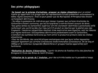 Des pistes pédagogiques Se basant sur le principe d’actualisme, proposer un régime alimentaire  pour un animal fossile qui appartient à un groupe dont les représentants actuels présentent uniformément le même régime alimentaire: Ainsi on peut penser que les Myriapodes Arthropleurides étaient certainement détritivores.  De même la possession de chélicères peut donner à penser que certains Arachnides du Carbonifère étaient carnivores, que les Dictyoptères à rostres étaient suceurs de sèves… Des galles datées du Carbonifère supérieur ont été clairement identifiées ( parenchyme enflé renfermant une cavité bordée d’un tissu nutritif produit en réaction par la plante) avec des fragments  tissulaires indigestibles résultant d’une mastication sans digestion, sont les témoins d’un régime herbivore: D’écosystèmes détritivores prédominants avant le Carbonifère, s’installent des systèmes herbivores qui font entrer la production primaire dans les chaînes alimentaires. Chez les Vertébrés, des caractéristiques anatomiques ainsi que leurs tailles imposantes indiquent également que certains Cotylosaures diadectomorphes (Cotylosaurus; 3m de long et 300kg) et de nombreux Synapsidés (Mammifères et groupes fossiles apparentés) sont herbivores. Réalisation de dessins d’observations ,  à partir de photos de fossiles et/ou des planches de Brongniard ( Ecole des Mines de Saint-Etienne). Utilisation de la spirale de l’ évolution,  pour des activités basées sur le paramètre temps. 