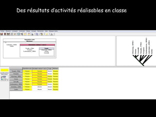 Des résultats d’activités réalisables en classe 