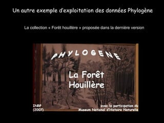 La collection « Forêt houillère » proposée dans la dernière version Un autre exemple d’exploitation des données Phylogène 