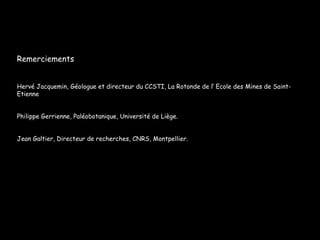Remerciements Hervé Jacquemin, Géologue et directeur du CCSTI, La Rotonde de l’ Ecole des Mines de Saint-Etienne Philippe Gerrienne, Paléobotanique, Université de Liège. Jean Galtier, Directeur de recherches, CNRS, Montpellier. 