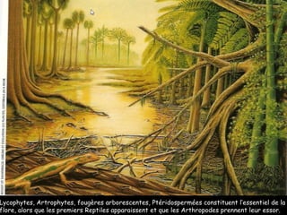 Lycophytes, Artrophytes, fougères arborescentes, Ptéridospermées constituent l’essentiel de la flore, alors que les premiers Reptiles apparaissent et que les Arthropodes prennent leur essor. 