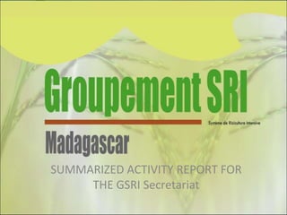 SUMMARIZED ACTIVITY REPORT FOR
THE GSRI Secretariat
 