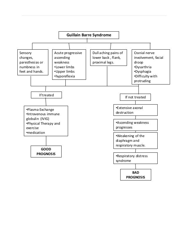 Pathophysiology Of Guillain Barre Syndrome In Flow Chart