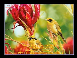 Câu chuyện về một cái keo không và tách cà phê