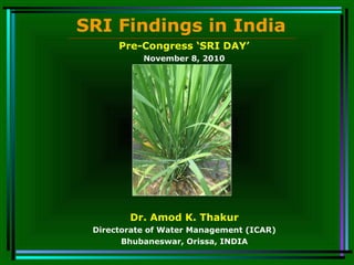 Dr. Amod K. Thakur
Directorate of Water Management (ICAR)
Bhubaneswar, Orissa, INDIA
SRI Findings in India
Pre-Congress ‘SRI DAY’
November 8, 2010
 