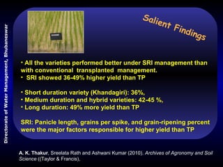 • All the varieties performed better under SRI management than
with conventional transplanted management.
• SRI showed 36-...