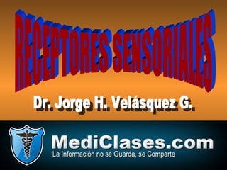 RECEPTORES SENSORIALES Dr. Jorge H. Velásquez G. 