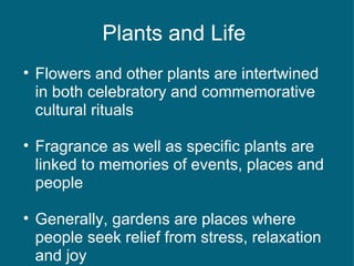 Plants and Life  Flowers and other plants are intertwined in both celebratory and commemorative cultural rituals  Fragrance as well as specific plants are linked to memories of events, places and people Generally, gardens are places where people seek relief from stress, relaxation and joy 