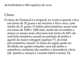 de borboletas e 656 espécies de aves.


Clima:
O clima do Pantanal é o tropical, no verão é quente e fica 
  em torno de 32 graus e no inverno é frio e seco, com 
  média de 21 graus. O índice pluviométrico anual está 
  em torno de 1000 e 1400 mm, sendo de novembro a 
  março os meses mais chuvosos (em torno de 68% do 
  total pluviométrico anual) no período de junho a 
  agosto de maior estiagem (apenas 7% do total 
  pluviométrico anual). O clima da região pode ser 
  dividido em quatro estações: seca (de junho a 
  setembro), enchente (de outubro a dezembro), cheia 
  (de  janeiro a março) e vazante (abril e maio). Os 
 