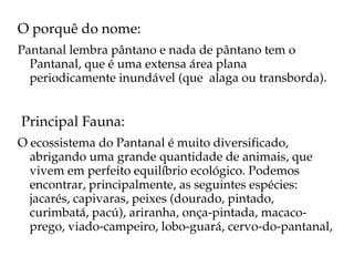 O porquê do nome:
Pantanal lembra pântano e nada de pântano tem o 
  Pantanal, que é uma extensa área plana 
  periodicamente inundável (que  alaga ou transborda).


 Principal Fauna:
O ecossistema do Pantanal é muito diversificado, 
  abrigando uma grande quantidade de animais, que 
  vivem em perfeito equilíbrio ecológico. Podemos 
  encontrar, principalmente, as seguintes espécies: 
  jacarés, capivaras, peixes (dourado, pintado, 
  curimbatá, pacú), ariranha, onça­pintada, macaco­
  prego, viado­campeiro, lobo­guará, cervo­do­pantanal,
 