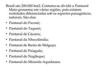 Brasil são 200.000 km2. Costuma­se dividir o Pantanal 
  Mato­grossense em várias regiões, pois existem 
  realidades diferenciadas sob os aspectos paisagísticos, 
  naturais. São elas:

    Pantanal do Paconé;

    Pantanal do Taquari;

    Pantanal de Cáceres;

    Pantanal da Nhecolândia;

    Pantanal de Barão de Melgaço;

    Pantanal de Paiaguás;

    Pantanal do Nagileque;

    Pantanal do Miranda­Aquidauna. 
 