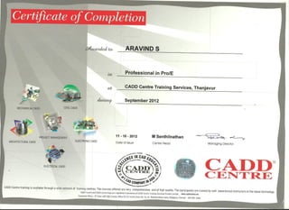 PROFESSIONAL_IN_CAD_CERTIFICATE