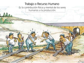 Trabajo o Recurso Humano
Es la contribución física y mental de los seres
humanos a la producción.
 