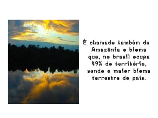 É chamado também de
   Amazônia o bioma
  que, no brasil ocupa
   49% do território,
 sendo o maior bioma
   terrestre do país.
 