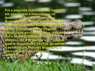 • Foi a segunda maior floresta tropical
  em ocorrência e importância na
  América do Sul, em especial no
  Brasil. Acompanhava toda a linha do
  litoral brasileiro do Rio Grande do Sul
  ao Rio Grande do Norte (regiões
  meridionais e nordeste). Nas regiões
  Sul e Sudeste a Mata Atlântica
  chegava até a Argentina e o Paraguai.
  Cobria importantes trechos de serras
  e escarpas do Planalto Brasileiro, e
  era contínua com a Floresta
  Amazônica.
 