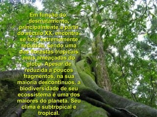 . Em função do
      desmatamento,
principalmente a partir
do século XX, encontra-
 se hoje extremamente
  reduzida, sendo uma
 das florestas tropicais
   mais ameaçadas do
     globo. Apesar de
    reduzida a poucos
   fragmentos, na sua
maioria descontínuos, a
 biodiversidade de seu
ecossistema é uma dos
maiores do planeta. Seu
  clima é subtropical e
         tropical.
 