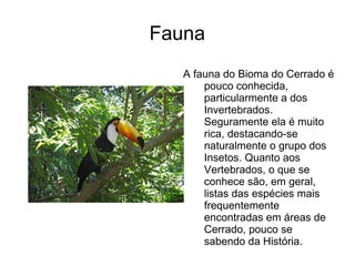 Fauna
   A fauna do Bioma do Cerrado é
       pouco conhecida,
       particularmente a dos
       Invertebrados.
       Seguramente ela é muito
       rica, destacando-se
       naturalmente o grupo dos
       Insetos. Quanto aos
       Vertebrados, o que se
       conhece são, em geral,
       listas das espécies mais
       frequentemente
       encontradas em áreas de
       Cerrado, pouco se
       sabendo da História.
 